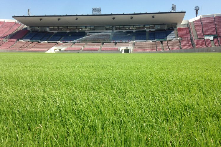 Salida 8: um castigo para o futebol chileno